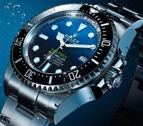 all diver watches look like rolex|rolex deepsea 44mm.